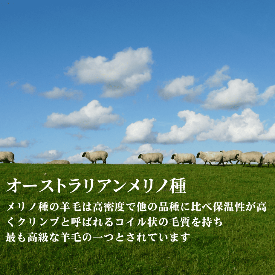 Mouton Chocolat Rug —ショコララグ